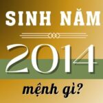 sinh-nam-2014-tuoi-gi