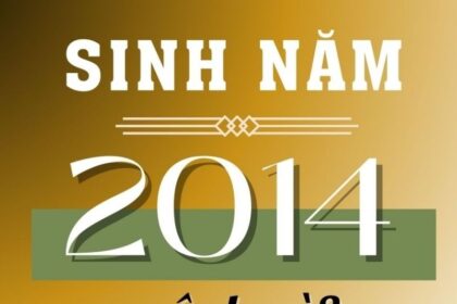 sinh-nam-2014-tuoi-gi