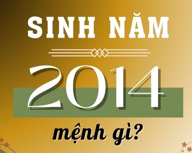 sinh-nam-2014-tuoi-gi