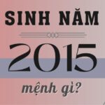 sinh-nam-2015-tuoi-gi