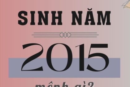 sinh-nam-2015-tuoi-gi