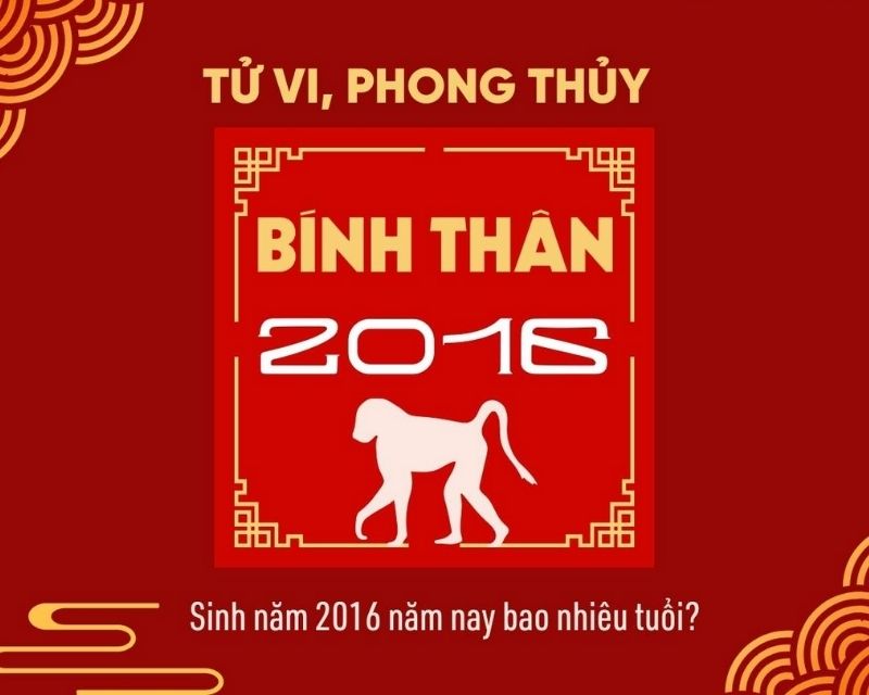 sinh-nam-2016-tuoi-gi-1