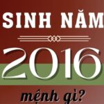 sinh-nam-2016-tuoi-gi