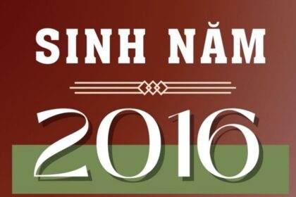 sinh-nam-2016-tuoi-gi