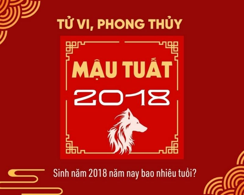 sinh-nam-2018-tuoi-gi-1