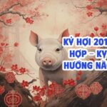 sinh-nam-2019-tuoi-g