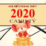 sinh-nam-2020-tuoi-gi