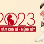sinh-nam-2023-tuoi-gi