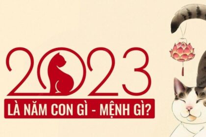 sinh-nam-2023-tuoi-gi