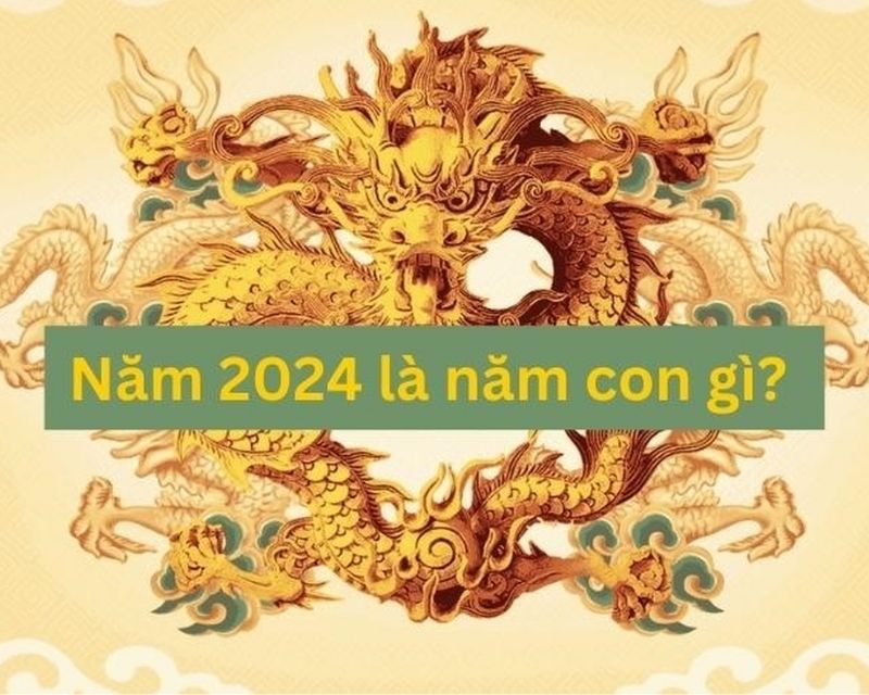 sinh-nam-2024-tuoi-gi-2